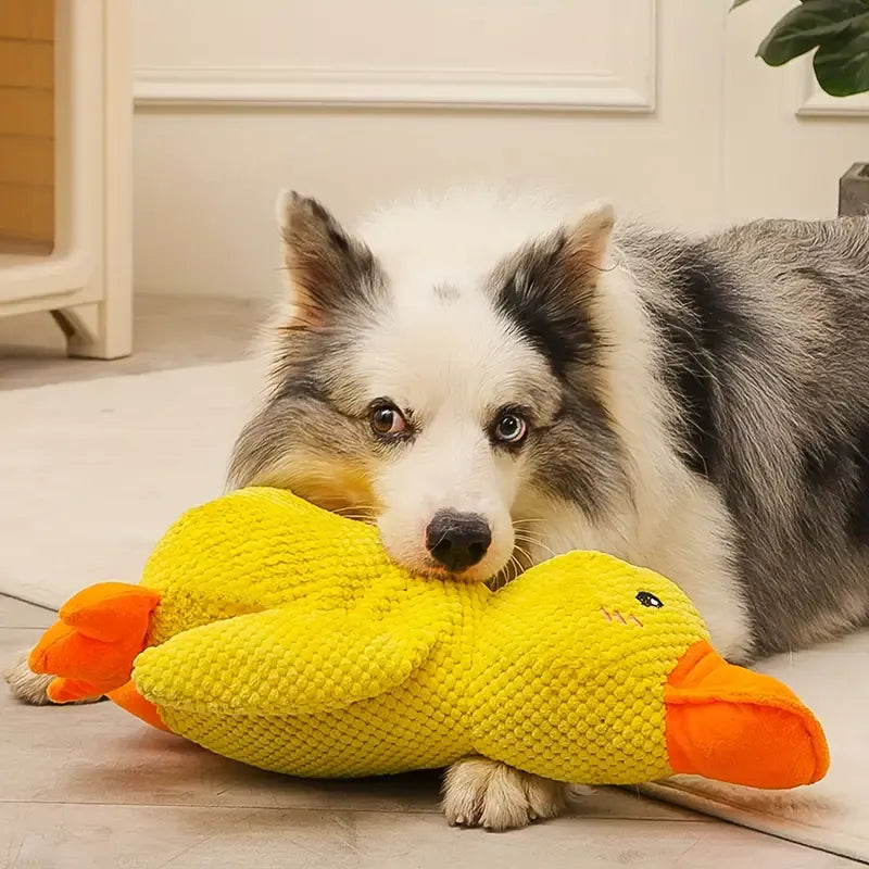DreamPaw™- Anxiety-Relief Duck