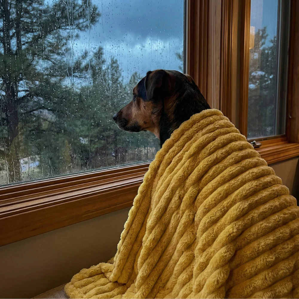 DreamPaw™ - Serenity Blanket